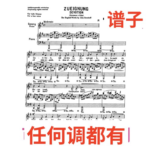 zueignung G2伴奏谱正谱声乐
