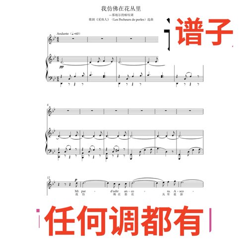 les pecheurs de perles 5bB伴奏谱正谱声乐