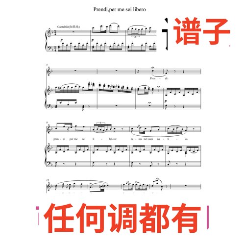 Prendi per me sei libero 3F伴奏谱正谱声乐