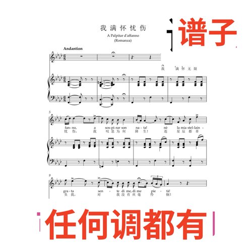 3bA  palpitar daffanno 3伴奏谱正谱声乐