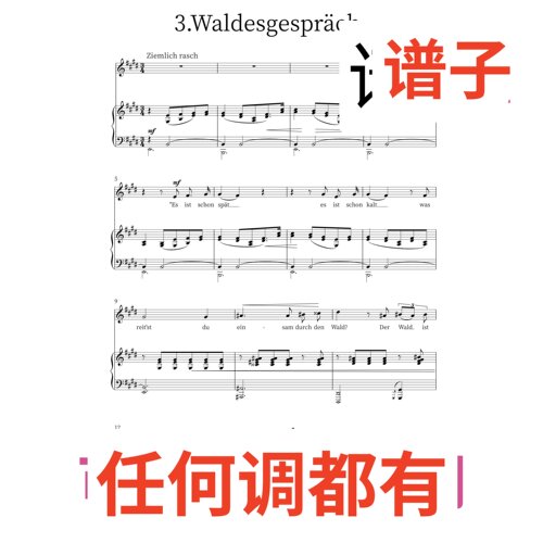 E4 森林的对话Waldesgespräch伴奏谱正谱声乐