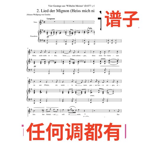Heiss mich nicht reden 3G伴奏谱正谱声乐