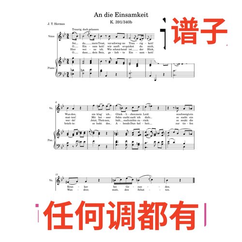 An_die_Einsamkeit 1bB伴奏谱正谱声乐