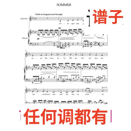 06 Sommer Korngold 5bE伴奏谱正谱声乐