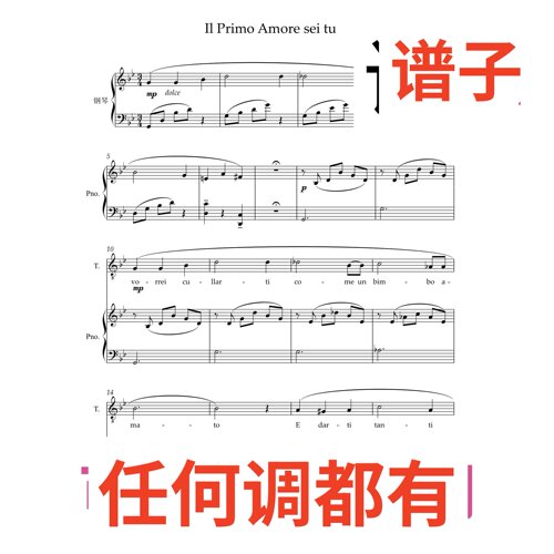 il primo amore sei tu 8页bB 高伴奏谱正谱声乐