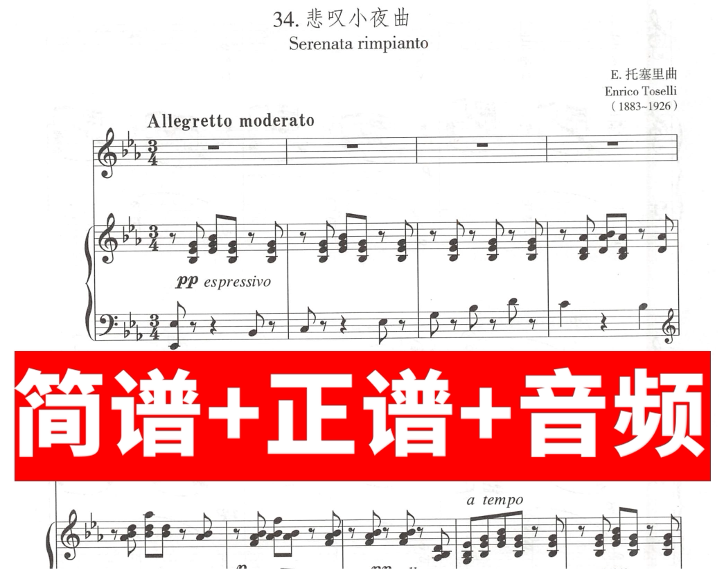 悲叹小夜曲/正谱/简谱/伴奏/升/降/#/c/d/e/f/g/a/b/调