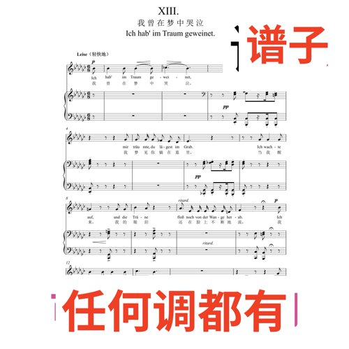 2bG Ich hab' im Traum geweinet伴奏谱正谱声乐