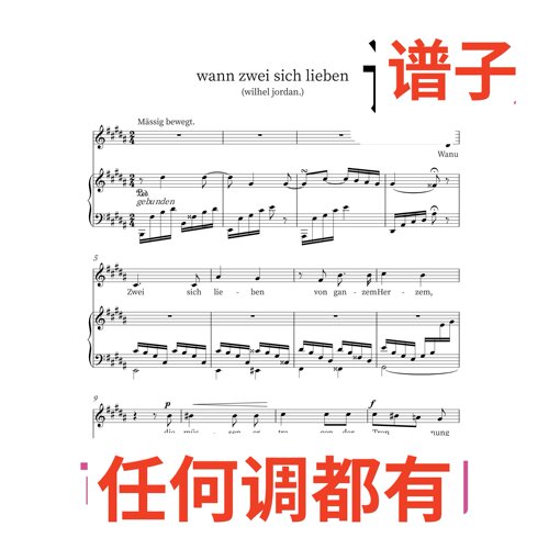 4B Wann sich zwei lieben 4页伴奏谱正谱声乐
