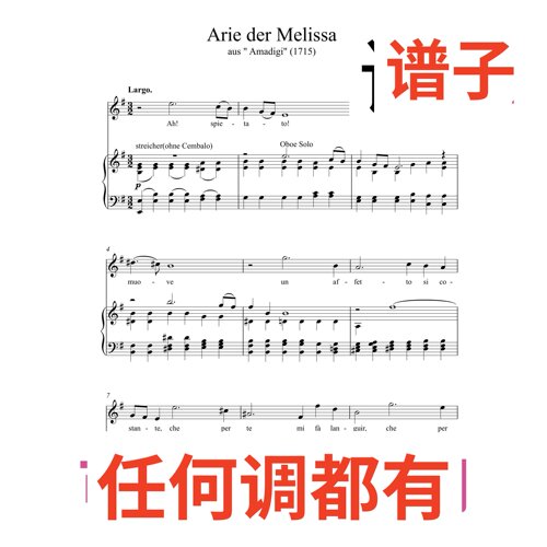 arie der  melissa 5页G伴奏谱正谱声乐