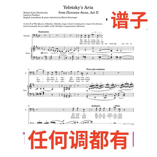 9D The_Queen_of_Spades_Yeletskys_Aria伴奏谱正谱声乐