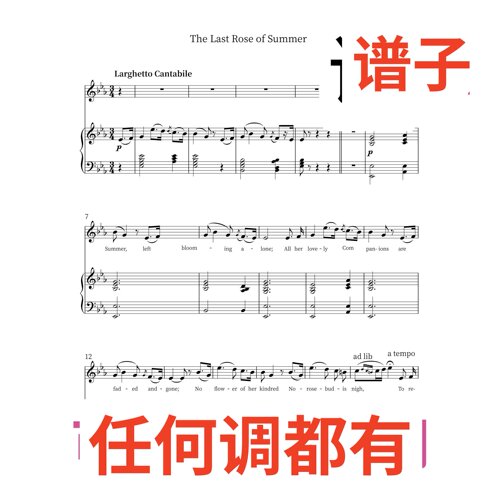 3bE The Last Rose of Summer伴奏谱正谱声乐