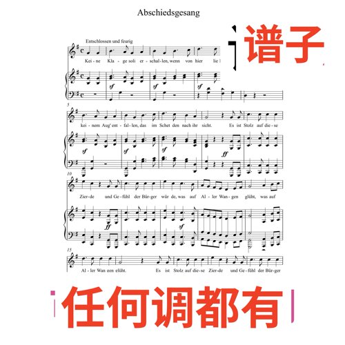 Abschiedsgesang 2G伴奏谱正谱声乐