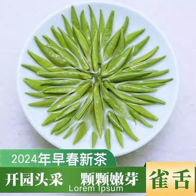 雀舌2024新茶颗颗嫩芽