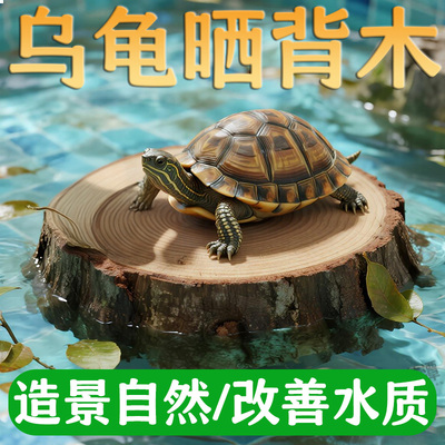 养乌龟专用缸龙眼木晒台爬坡躲避窝净化水质水草绿植造景摆件用品