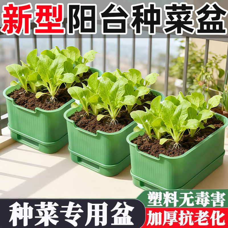 育苗盘芽苗盘菜阳台种菜盆水培蔬菜豆芽无土小麦蒜苗种植盘育苗盆