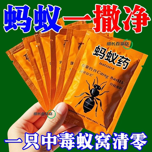 蚂蚁药强效全窝端家用非无毒厨房室内野外菜地灭蚁清一窝端灭蚁药