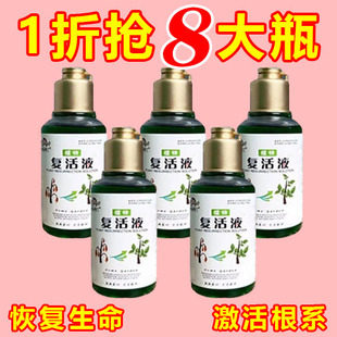 植物花卉绿植复活液专门解决植物光杆半死不活营养液园艺通用型