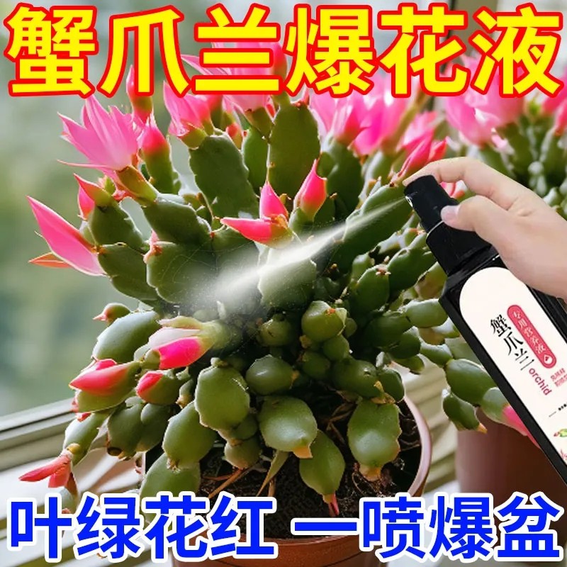 多色蟹爪营养液肥料室内阳台好养花卉四季开花爆盆营养液,鲜花速递/花卉仿真/绿植园艺,家庭园艺肥料,淘宝优惠券,粉丝福利购,淘宝优惠卷