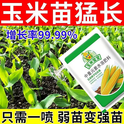 玉米宝宝叶面肥金大棒一号拉长专用粒粒饱抗倒伏增产专用水溶肥料