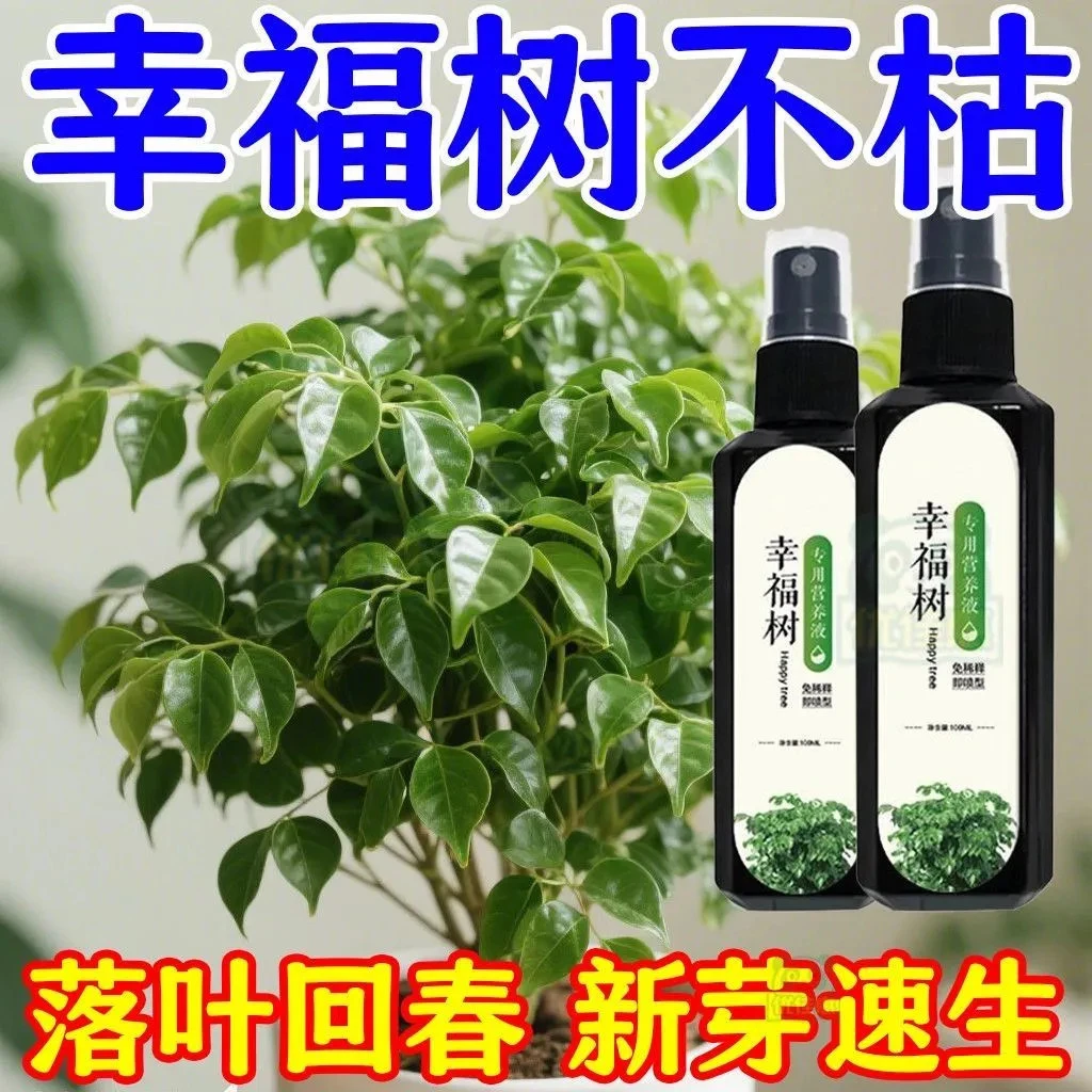 幸福树专用营养液室内盆栽发芽生根防黄叶落叶掉叶植物营养液体肥
