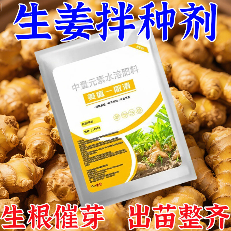 生姜姜瘟一撒清微生物肥料改善预防姜瘟姜腐烂脖子炭疽叶水溶肥
