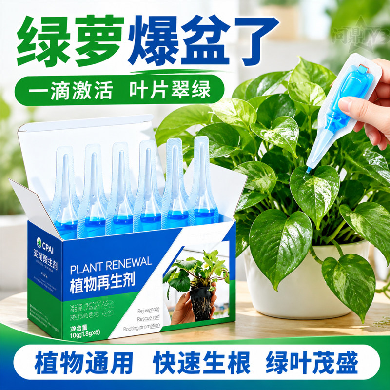 巴西木绿萝多肉通用再生营养液