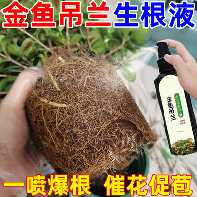 花草营养液通用急救不开花金鱼吊兰营养液催花促长延花期防黄叶褐