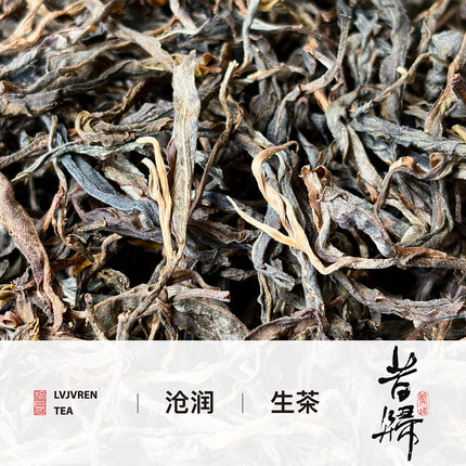 【昔归沧润】2022春忙麓山昔归古树普洱茶生茶兰香菌香蜜香冰糖甜