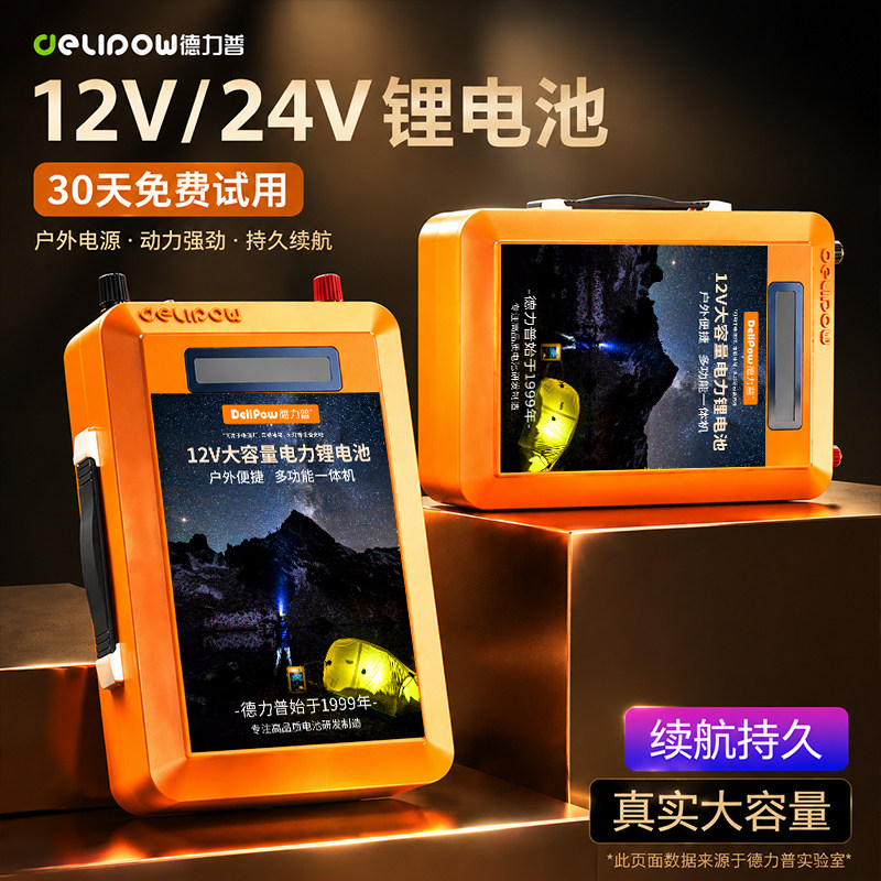 德力普12V锂电池电瓶大容大功率充电器磷酸铁锂24伏户外移动电源