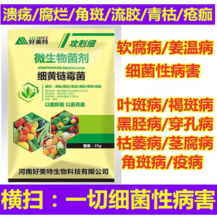 细黄链霉菌农用微生物菌剂通用型果树蔬菜白菜草莓细菌溃疡软腐烂