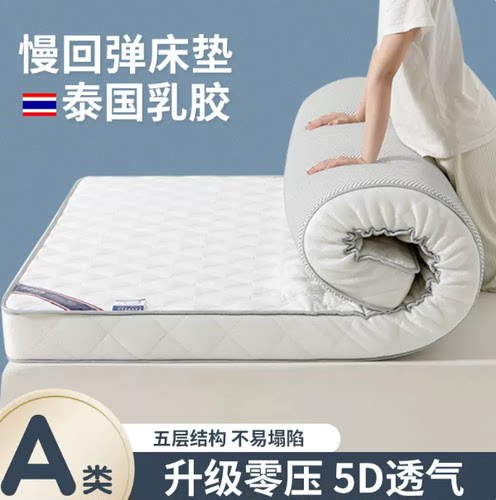 床垫宿舍学生单人租房家用卧室新款加厚乳胶软垫可折叠收