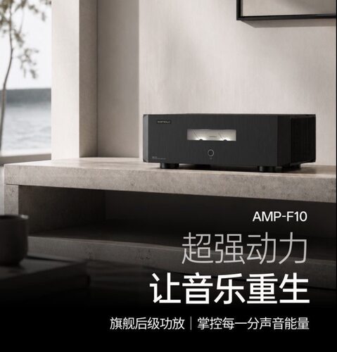 艾索洛Eversolo AMP-F10发烧级HIFI纯后级功放机大功率AB类放大器