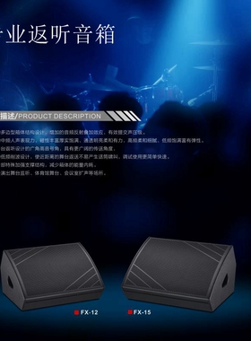12寸专业演出返听音箱 15寸舞台监听音响 工程专用YALL FX12/FX15