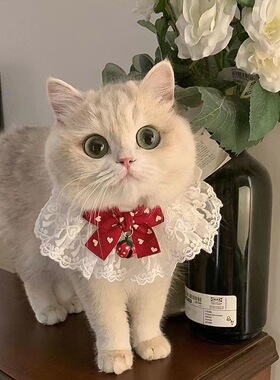 猫咪口水巾围巾宠物围脖狗狗围嘴宠物饰品项链蕾丝蝴蝶结项圈