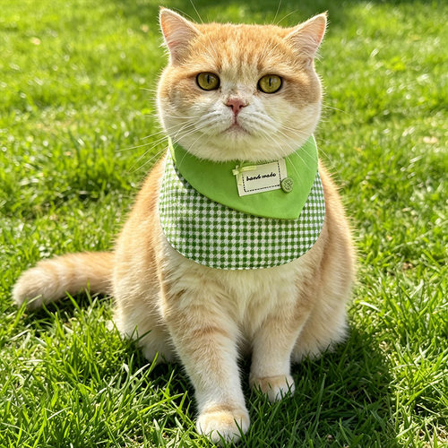 26夏猫咪围兜狗狗口水巾防舔毛