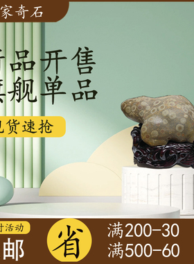 天然原石家居摆件灵璧石钱币石现代简约包邮