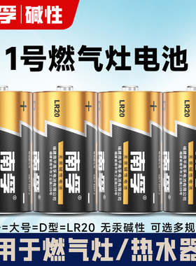 南孚大一1号电池1.5V碱性LR20燃气煤气灶热水器保险箱电池手电筒