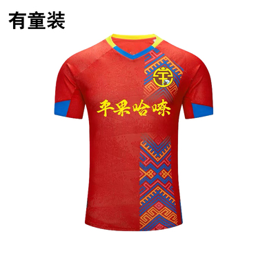 广西平果哈嘹球衣2024款中甲联赛俱乐部平果哈嘹足球服球迷服球衣