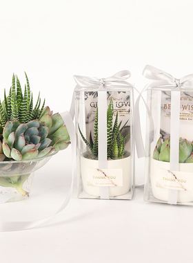 森系欧式婚礼圣诞节多肉植物伴手礼公司年会百天生日聚会创意礼品