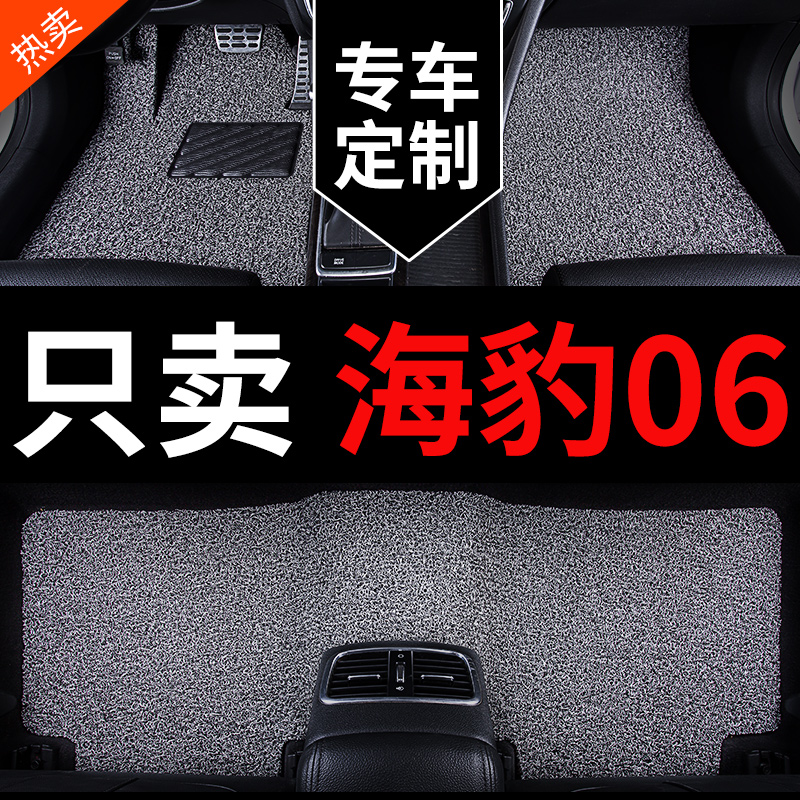比亚迪海豹06专用汽车脚垫丝圈