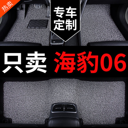 比亚迪海豹06专用汽车脚垫丝圈