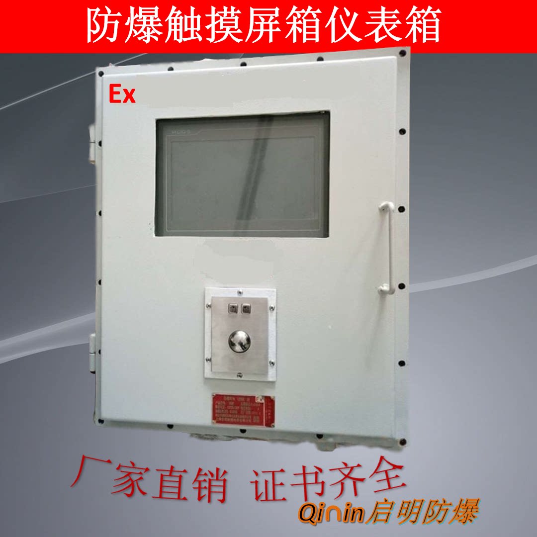 防爆仪表箱 防爆触摸屏箱 防爆空箱 防爆配电箱 防爆显示器变频箱