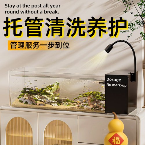 水族服务鱼缸清洗上门养护造景托管换理按装开缸消毒管道疏通配件