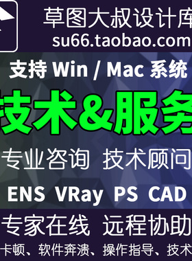2025草图大叔远程协助SU2026 VRay VR CAD Enscape卡闪退技术服务