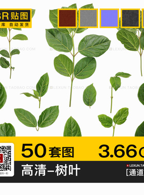 树木树叶落叶绿色叶子高清贴图pbr法线通道3d材质纹理su c4d素材