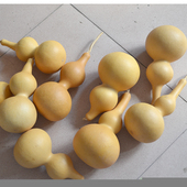 清仓处理天然中号大葫芦学生初学者练手烙画学校用道具白皮葫芦