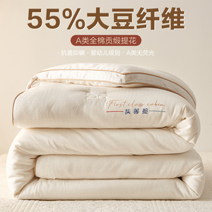 高端抗菌A类55%大豆纤维被子被芯纯棉提花春秋被棉被冬被加厚保暖
