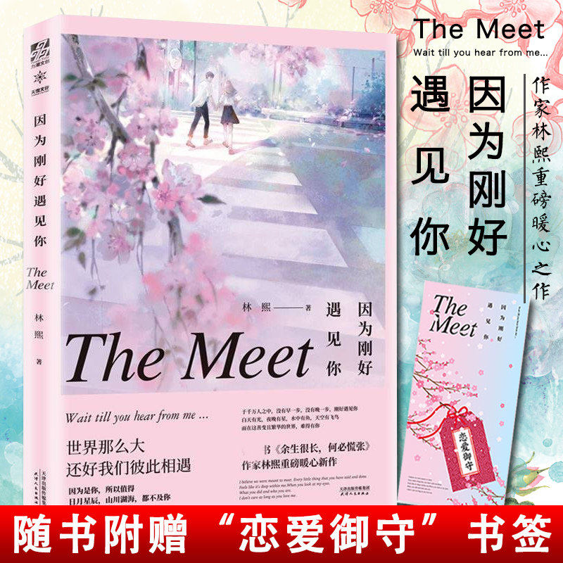 赠书签】 因为刚好遇见你 林熙著 暖心校园励志积*正能量青春言情都市爱情成长随笔散文当代治愈系小说书籍余生很长何慌张