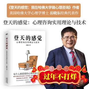 现货 登天的感觉:心理咨询实用理论与技术 心理学博士岳晓东代表作 心理咨询入门书