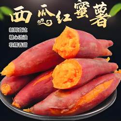 正宗开封沙地西瓜红蜜薯新鲜红薯糖心番薯地瓜适合蒸煮烤现挖现发